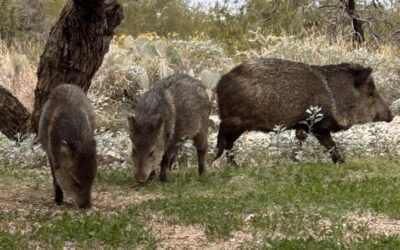 Happy New Year’s Eve and What’s Next